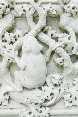 Kurbağa taş duvar