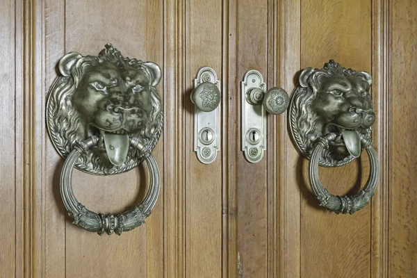 Lions wood door — Stock Photo, Image