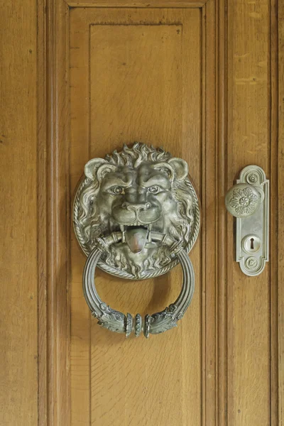 Gold lion door — Stock Photo, Image