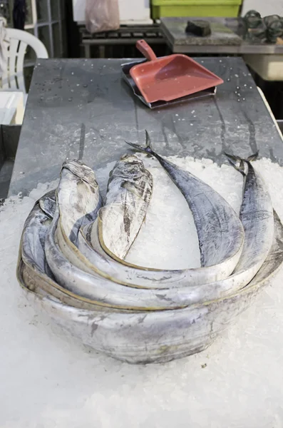Ryba rynek licznik — Zdjęcie stockowe