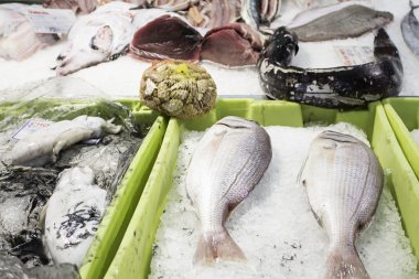 Hazırlanan deniz ürünleri