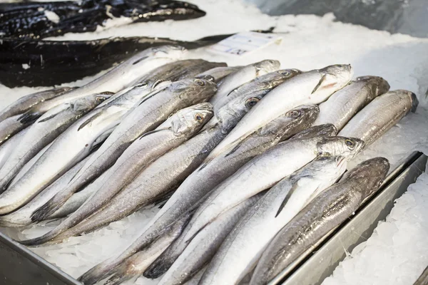 Frutti di mare con sardine — Foto Stock