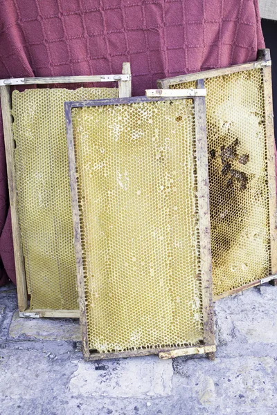 Медовые памперсы — стоковое фото