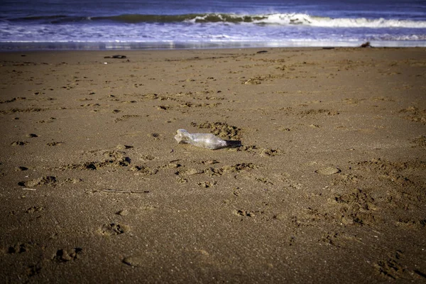 Plastikflasche Strand Umweltverschmutzung Klimawandel — Stockfoto