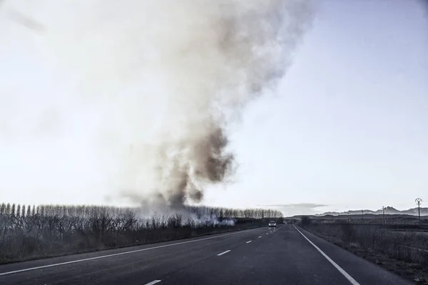 Verbrennung Auf Dem Feld Mit Rauch Auf Der Straße Naturkatastrophe — Stockfoto