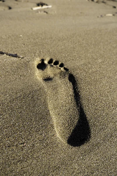 夏天海滩上的脚印细节 度假时散步 — 图库照片