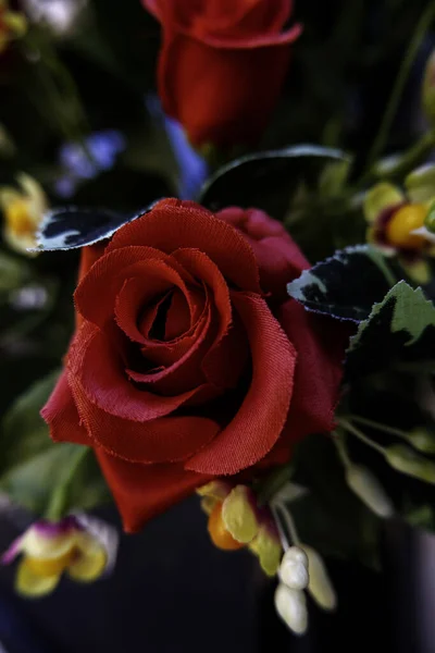 鲜红的玫瑰 花束和庆祝活动 — 图库照片