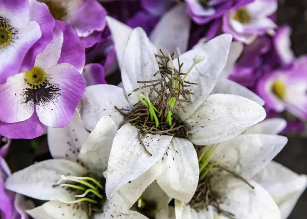 Blumensträuße Von Vielfältigen Blumen Feier Und Veranstaltung Natur — Stockfoto