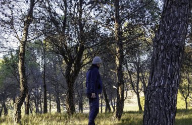 Orman yürüyüşü, doğa ve manzara adamı.