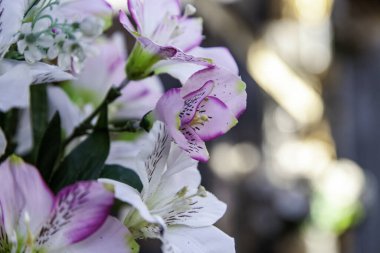 Değişik çiçek buketleri kutlama ve etkinlik, doğa