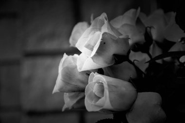 Çiçeklerin ayrıntıları ölüleri anmak için