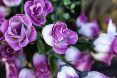 Değişik çiçek buketleri kutlama ve etkinlik, doğa