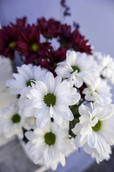 Blumensträuße Von Vielfältigen Blumen Feier Und Veranstaltung Natur — Stockfoto