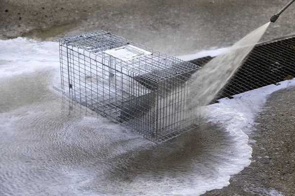 Washing Trap Cage Hunting Cleaning Disinfection — Stock Photo, Image