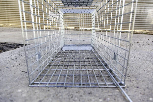 Cage Vide Pour Chasser Chats Animaux Objets — Photo