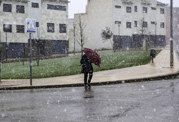 Woman Umbrella Rain Snow Stormy Cold — Stock Photo, Image