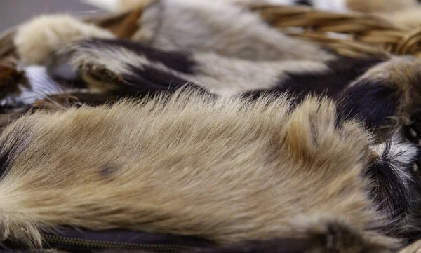 Detalhe Pele Animal Seco Para Venda Roupas Animal — Fotografia de Stock