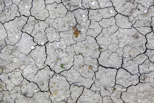 Climate Change Environmental Destruction Detail — Stok fotoğraf