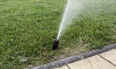 Sulama ve çim bakımının detayları, fıskiye sulama.