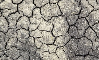 İklim değişikliği ve çevresel yıkım ayrıntıları