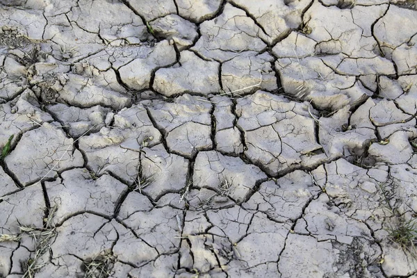 Detalhe Das Alterações Climáticas Destruição Ambiental — Fotografia de Stock