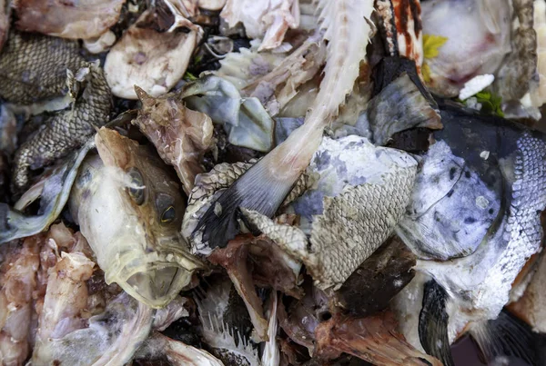 Szczegóły Pozostałości Sprzedawcy Ryb Śmieciach Brudzie — Zdjęcie stockowe