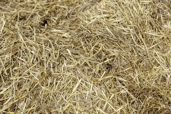 Detail Des Tierfutters Trockenes Weizenstroh — Stockfoto