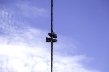 Vandalizm ve suçla ilgili detaylar