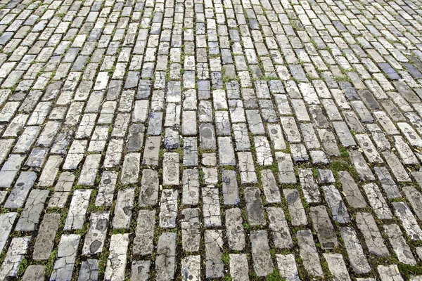 Pflasterdetails Für Fußgänger Der Stadt Promenade — Stockfoto