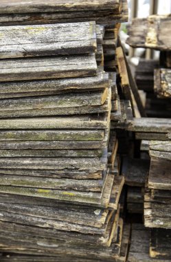 Balıkçı limanındaki eski ormanların ayrıntıları