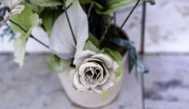 Yapraklı parlak kırmızı gül, buket ve kutlama.