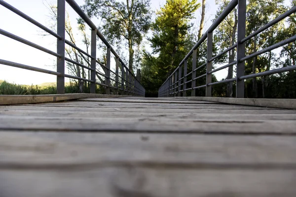 Деталь Доступу Доріжки Пішоходів Природі — стокове фото