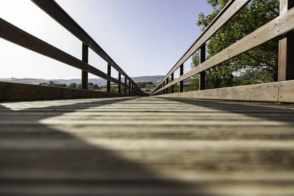 Detail Der Zufahrt Gehweg Für Fußgänger Der Natur — Stockfoto