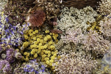 Aromaterapi, doğa ve sağlık hizmetlerinin ayrıntıları