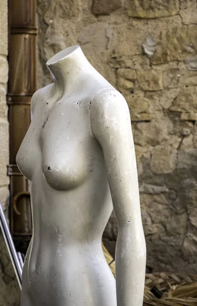 Détail Mannequin Pour Vêtements Formes Féminines — Photo