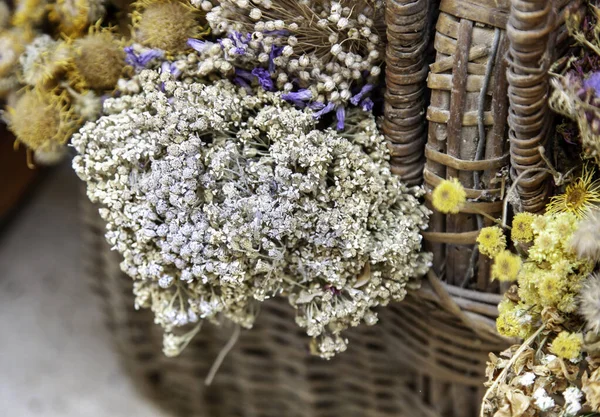 Szczegóły Aromaterapii Charakteru Opieka Zdrowotna — Zdjęcie stockowe