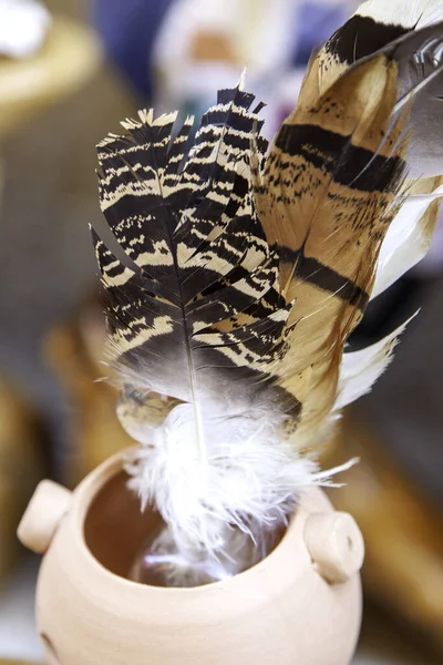 Exotic Wild Bird Feather Detail Decoration — Foto de Stock