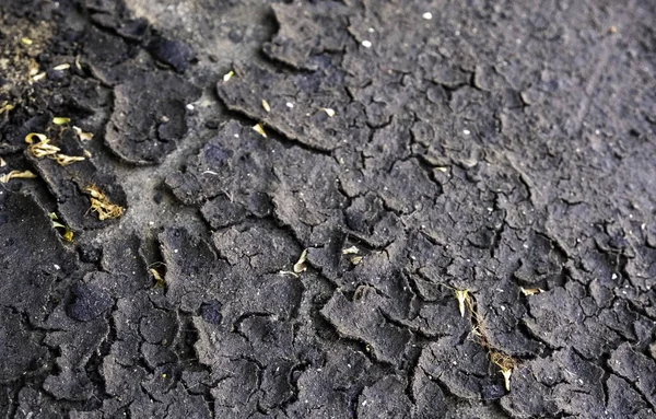 Detail Spoiled Floor Stained Old Oil — Fotografia de Stock