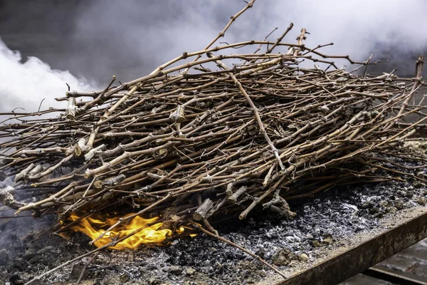 Detail Burning Vine Shoots Make Barbecue — Stock Photo, Image