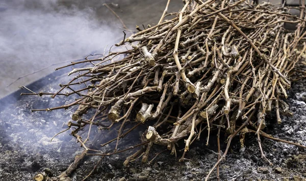 Detail Van Brandende Wijnstokken Scheuten Een Barbecue Maken — Stockfoto