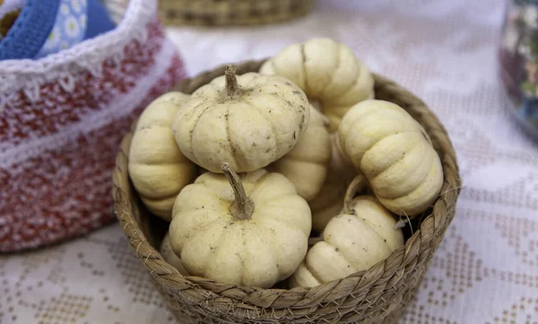 Dettaglio Diversi Tipi Zucche Sul Mercato — Foto Stock