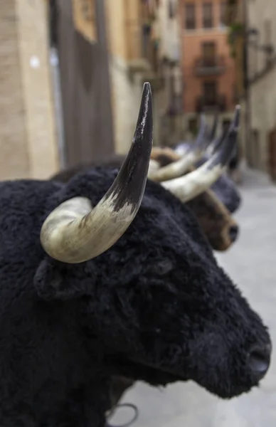 Detail Des Wilden Und Gefährlichen Tieres Spanische Tradition — Stockfoto