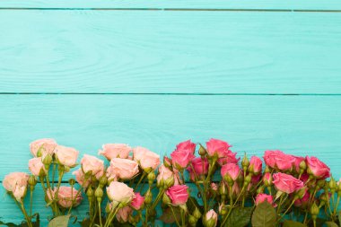 Mavi ahşap arka planda renkli güllerin çerçevesi. Üst görünüm ve seçici odak