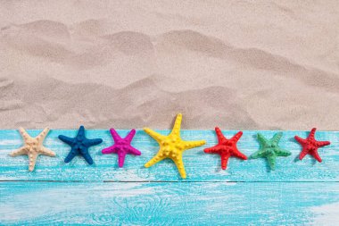 Birçok farklı renkte denizyıldızı kumlu bir sahilde tahta bir tahtanın üzerinde