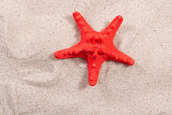 red starfish on the sand close-up top view. Starfish on the beach. Beach summer background with sand, sea and copyspace