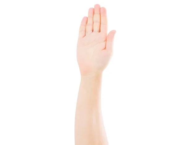 Männliche Hand Isoliert Auf Weißem Hintergrund Wahlhand — Stockfoto