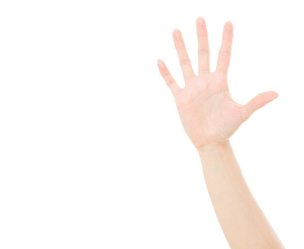 asian,korean hand isolated on white.Voting hand. Mock up. Copy space. Template. Blank.