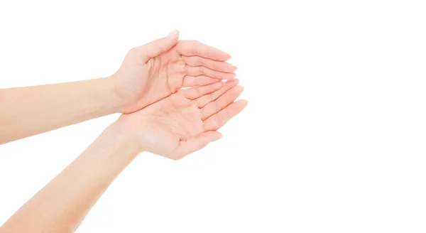 Weiße Hand Zwei Handflächen Hoch Handbreite Isoliert Auf Weißem Hintergrund — Stockfoto