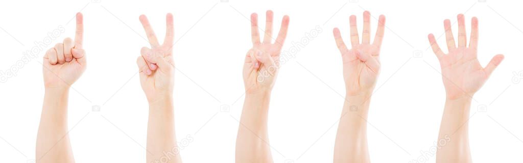 Male hands counting from one to five isolated on white background,copy space,mock up