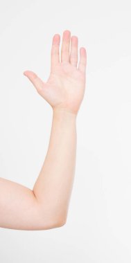 El beyazda izole edildi. Oylama eli. Model yap. Uzayı kopyala Şablon. Boşluk.